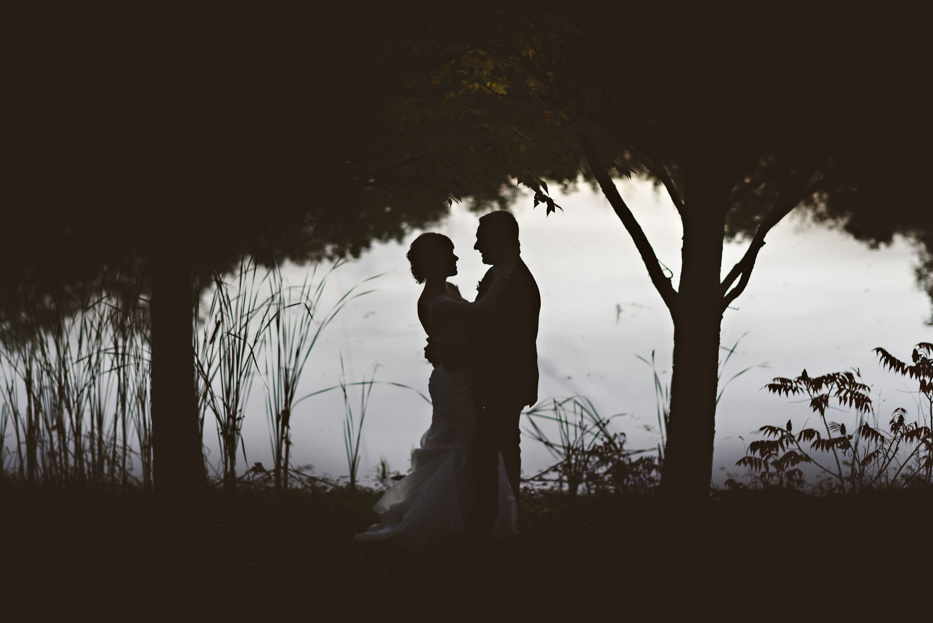 silhouette photograph niagara backyard wedding