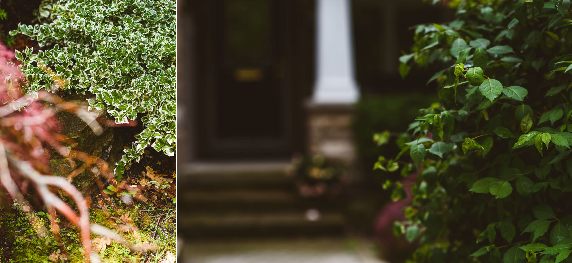 Oakville Wedding Photography