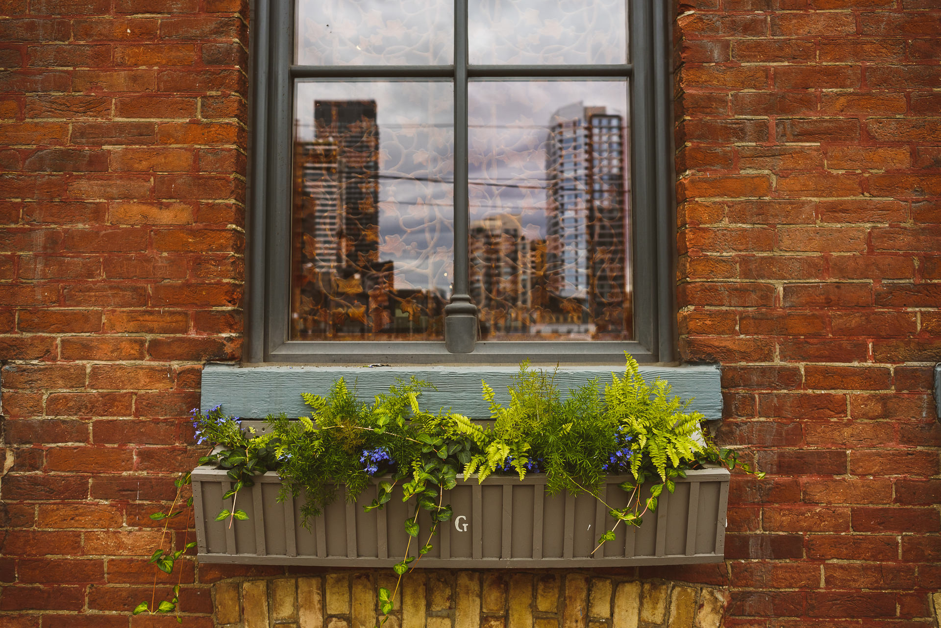 candid details of downtown toronto wedding
